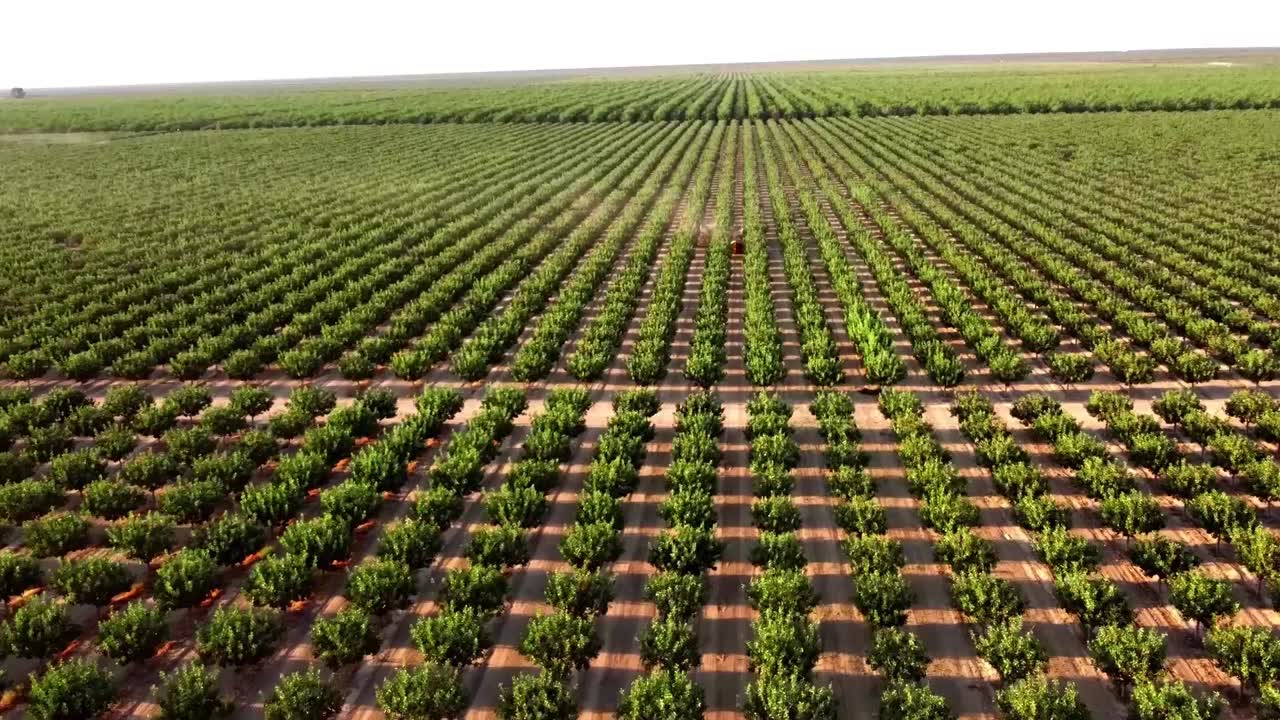 65e77a9acc0d2c4c743e5f9c_growers--home__new-poster-00001